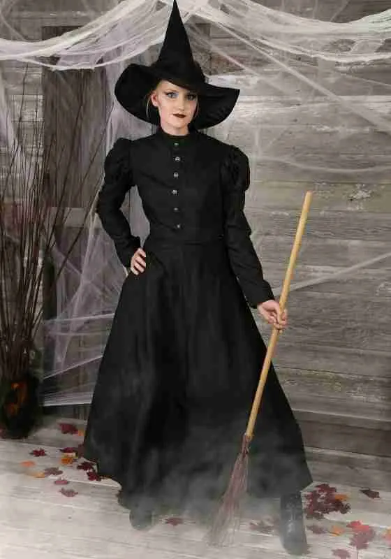 Halloween Womens Deluxe Witch Costume