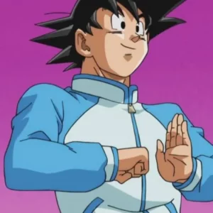 Dragon Ball Z Goku Blue Tracksuit