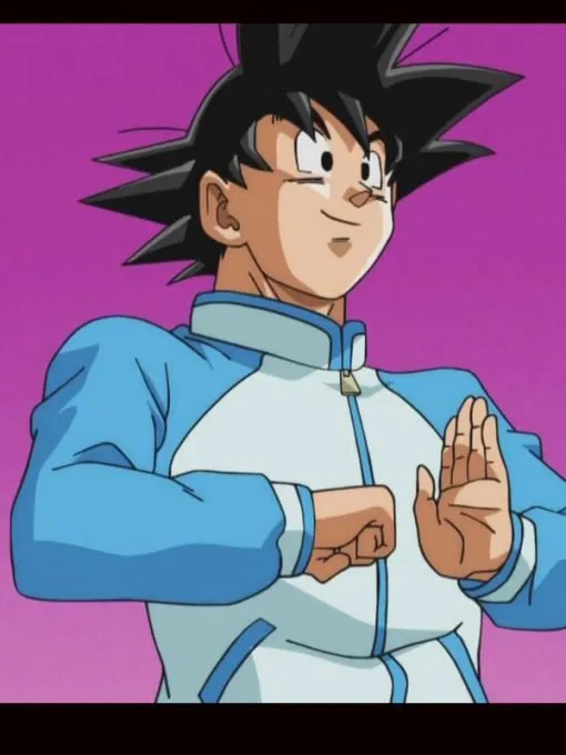 Dragon Ball Z Goku Blue Tracksuit