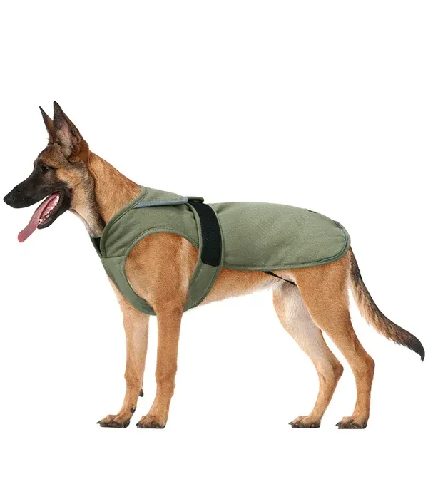 Canvas Cold Weather Dog Coat for Winter