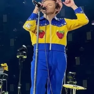 harry styles concert Strawberry jacket