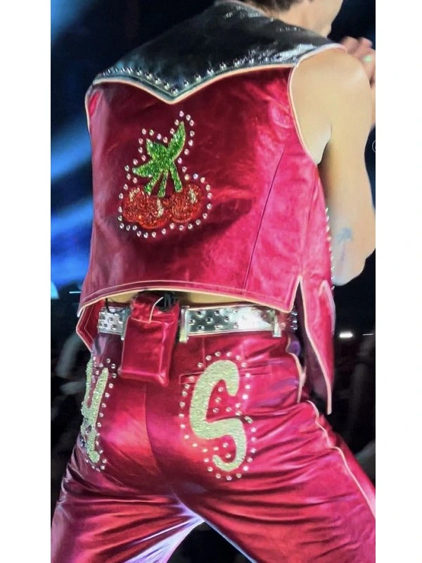 Harry Styles Concert Strawberry Outfit Vest + Pant